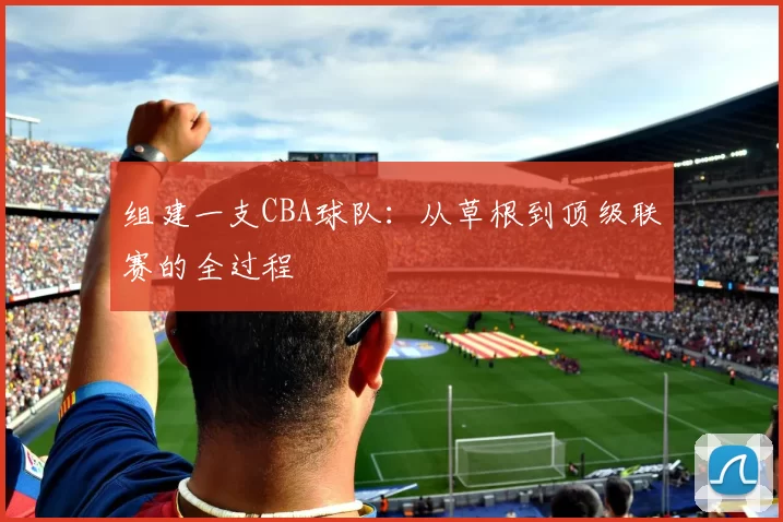 组建一支CBA球队：从草根到顶级联赛的全过程