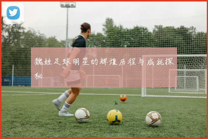 魏姓足球明星的辉煌历程与成就探秘