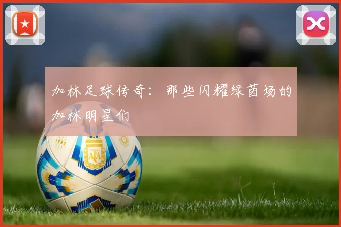 加林足球传奇：那些闪耀绿茵场的加林明星们